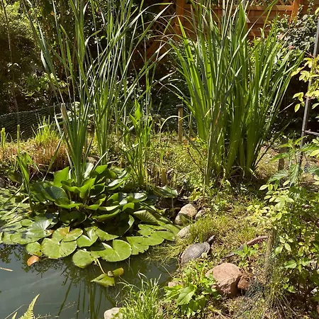 Апартаменты Coelpinstrasse 7 1 Solex